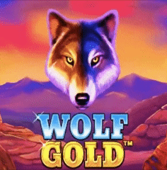 Wolf Gold Pragmaticplay Spielautomat bei Slimking Casino